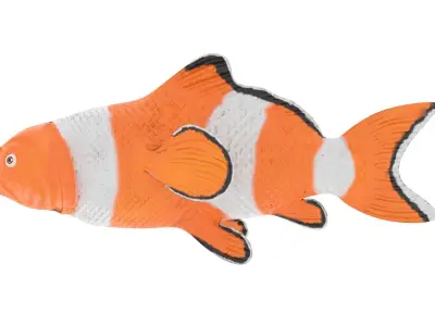 cartoon nemo fish Low-poly 3D model