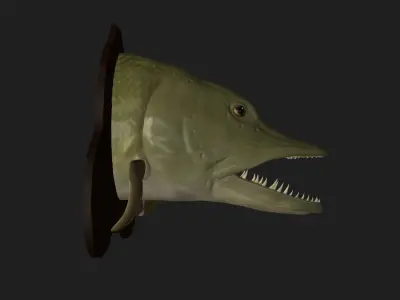 PIKE HEAD DETAILED TEXTURE TROPHY TAXIDERMY FOR 3D PRINTING Free 3D print model