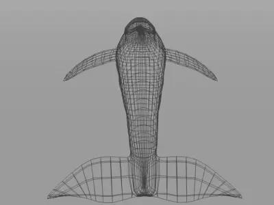 Pink Dolphin Low-poly 3D model