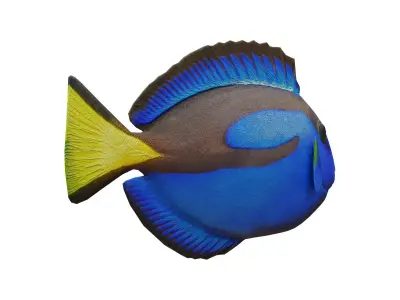 blue tang Low-poly 3D model