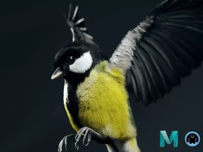 Great tit 3D model