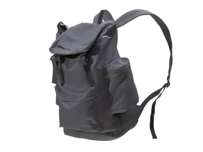 Backpack 208 - All MH Bodies - UE5 Skeletons - Rigged Low-poly 3D model