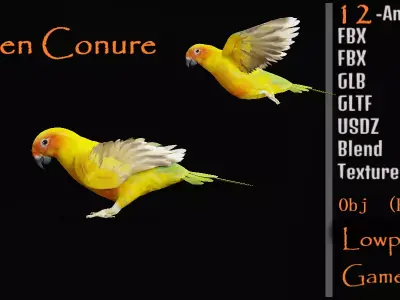 Golden Conure Parrot Bird Low-poly 3D model