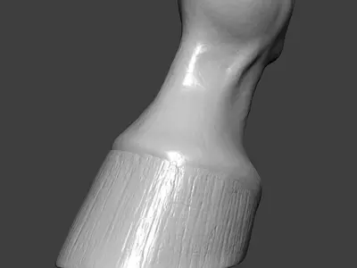 Horse Hoof Highpoly Sculpt 3D model