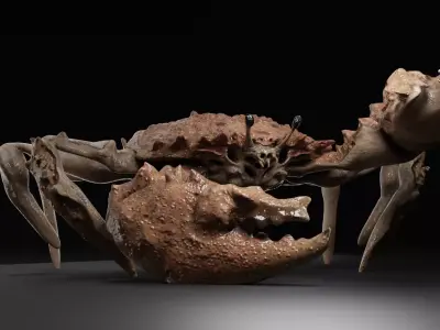 CRAB 001 Free 3D model