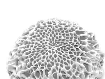 Butterfly egg 3D model