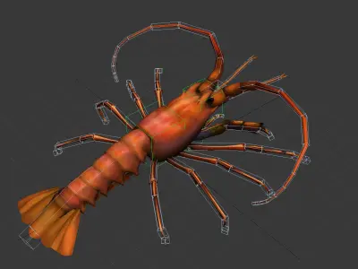 animated lobster Low-poly 3D model