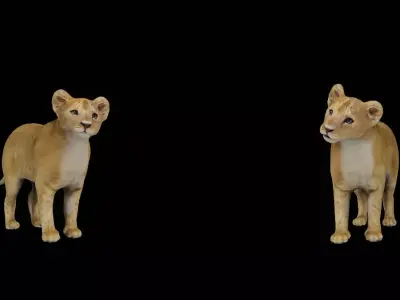 Lion Cub Free 3D model
