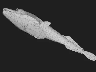 Suckerfish Low-poly 3D model