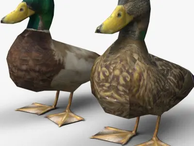 Ducks Low-poly 3D model