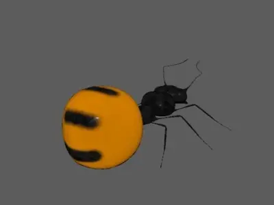 Honey Ant 3D model