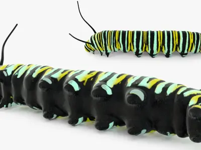 Monarch Butterfly Caterpillar Fur 3D model
