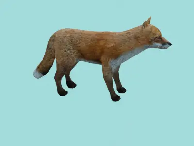 fox lowpoly 3d model 3D model