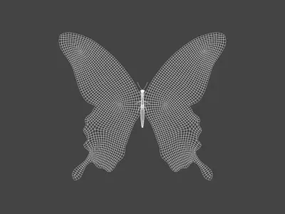 BFLY-005 Butterfly 3D model