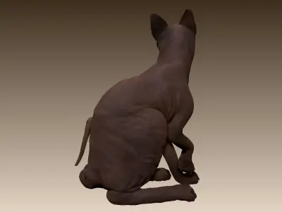 Sphinx cat 3D model