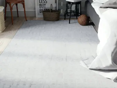  Designer Rug Model, Seashell Grey 