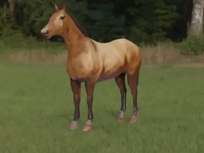 Horse 3d Model in field Free low-poly 3D model