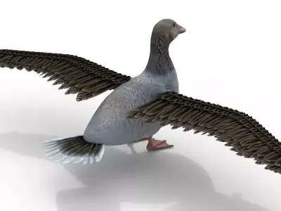 Goose Bird Rigged 3d model Free 3D model
