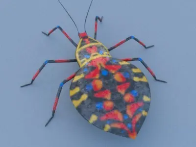 Coreid Bug Nymphs Low-poly 3D model