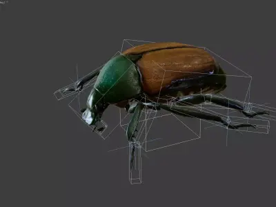 Beetle Chafer Popillia quadriguttata Low-poly 3D model