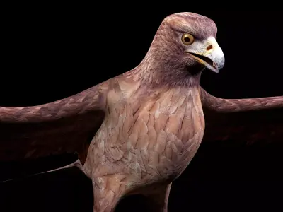 Eagle Rig Low-poly 3D model