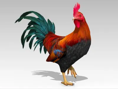 Rooster Low-poly 3D model