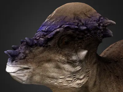 Pachycephalosaurus  Low-poly 3D model