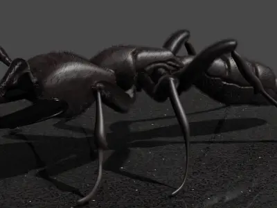 Sculpted ant 3D model with hair Low-poly 3D model