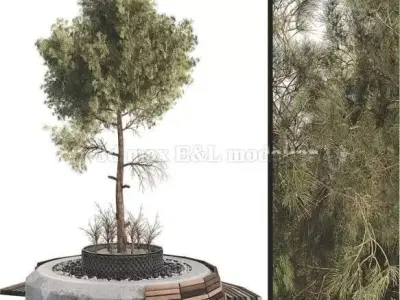 Outdoor Plant Set free flower Low-poly 3D model