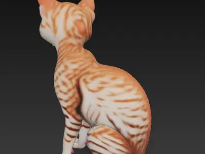 Cat Realistic 3D Model Basic - Low Poly Realistic  Low-poly 3D model