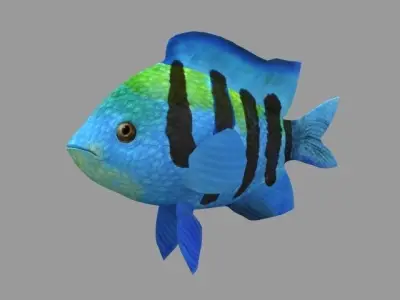 Modal Fish03 Low-poly 3D model
