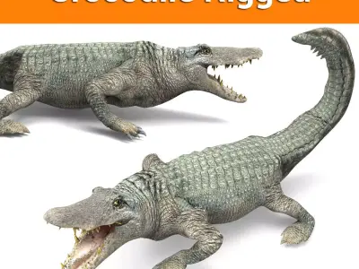 Crocodile Rigged 3D Models game ready Low-poly 3D model
