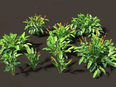 Heliconia metallica - Shining bird of paradise 3D model