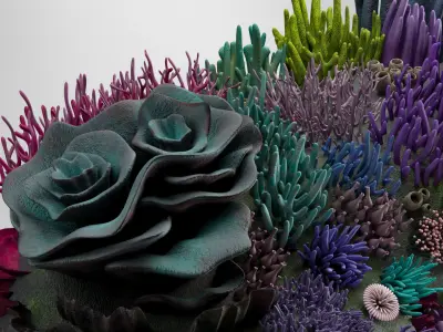 3D Underwater Coral Reef Habitat Ocean  3D model