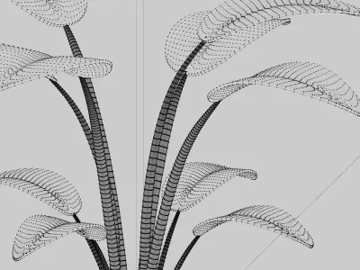 Potted Plant 3D model order