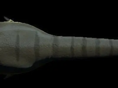 Rigged Deinonychus Low-poly 3D model