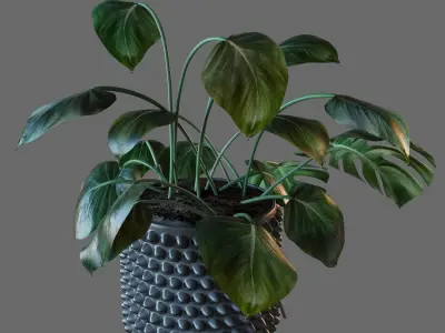 Decorative set 001 3D model