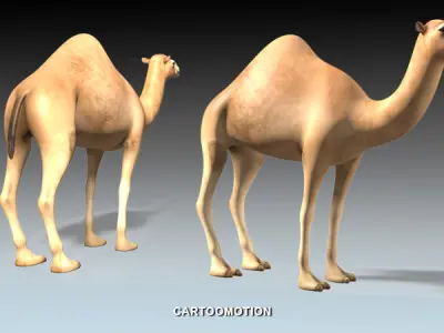 Adult Camel Free low-poly 3D model