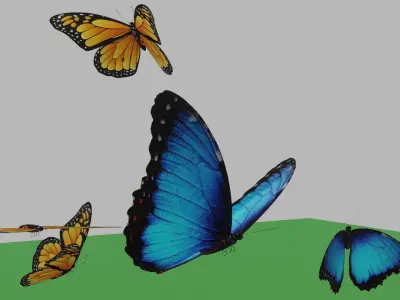 butterflies animation Low-poly 3D model