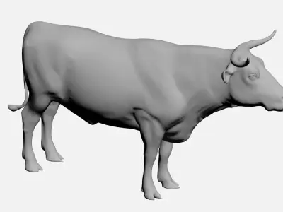 Ox-wild animals 3D model