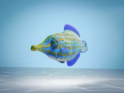 Colorful harlequin coral reef fish Low-poly 3D model