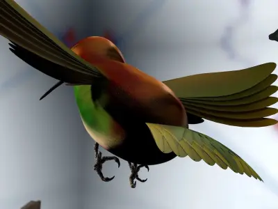 HummingBird flying in cherry blossoms 3D model