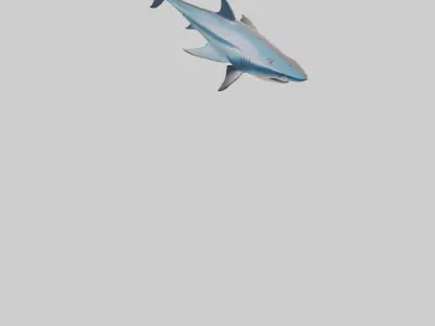 Thresher Shark circling model Low-poly 3D model