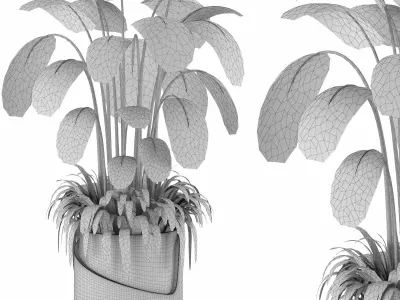 Indoor Plants in Ferm Living Bau Pot Large - Set022 Free low-poly 3D model