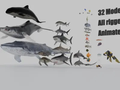 Sea Animal Mega Pack Low-poly 3D model