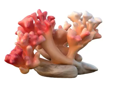 Coral collection 21-30   Low-poly 3D model