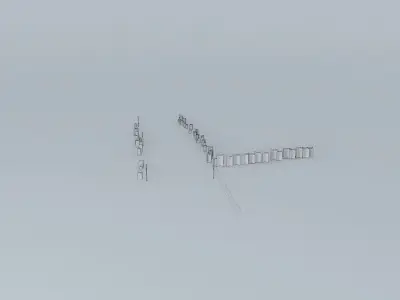 Trees on the Port Part 01 Free 3D model