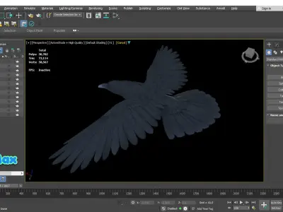Realistic Animated Raven Low-poly 3D model