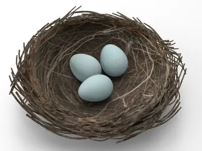 Bird Nest 3D Unity Low-poly 3D model