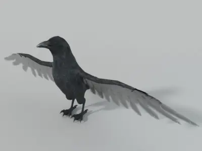 Crow bird Low-poly 3D model